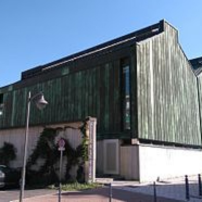 Photo de Musée du pays de Sarrebourg