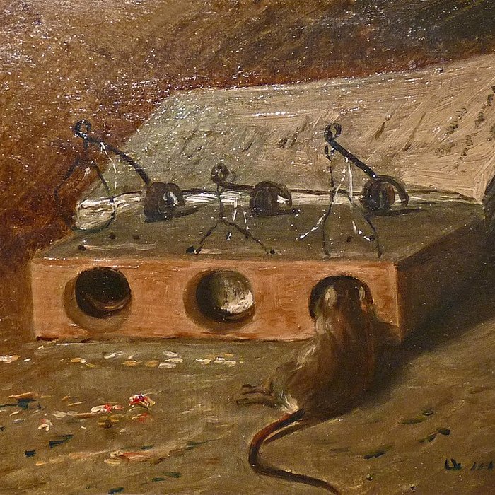 Photo de Musée Charles-de-Bruyères à Remiremont