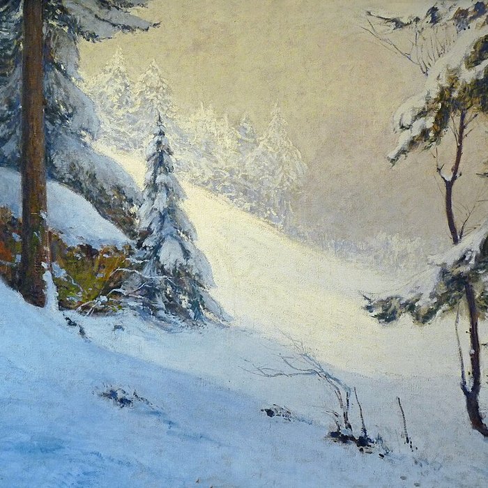 Photo de Musée Charles-Friry à Remiremont