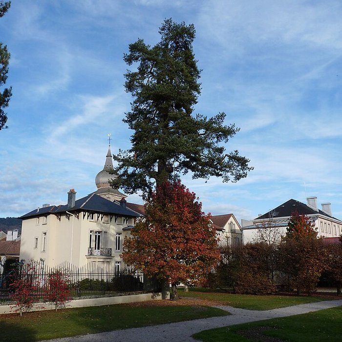 Photo de Musée Charles-Friry à Remiremont