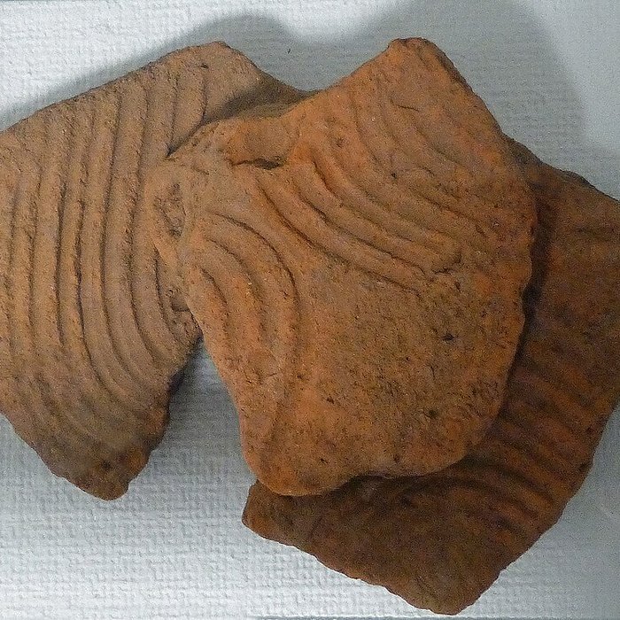 Photo de Musée Pierre Noël - musée de la vie dans les Hautes-Vosges