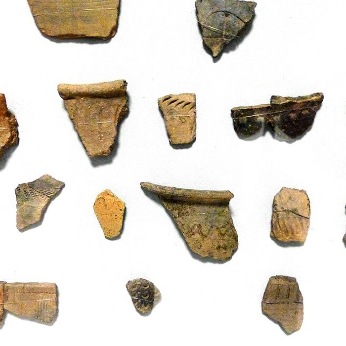 Photo de Musée Pierre Noël - musée de la vie dans les Hautes-Vosges