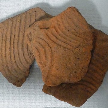 Musée Pierre Noël - musée de la vie dans les Hautes-Vosges