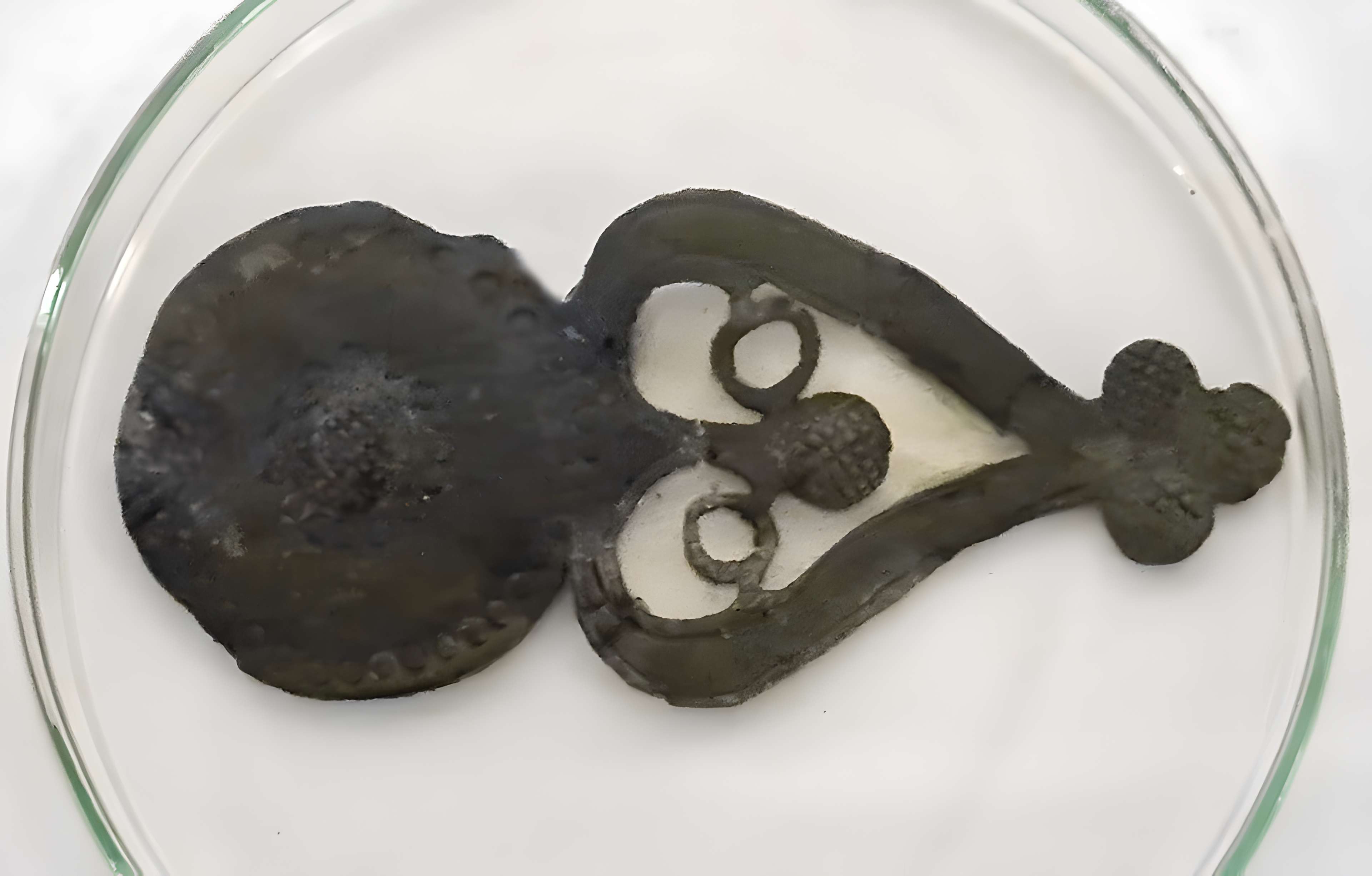 Musée Pierre Noël - musée de la vie dans les Hautes-Vosges