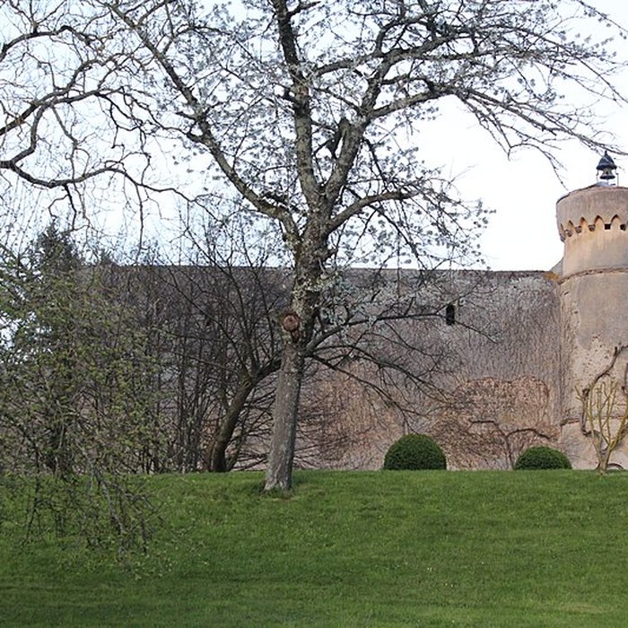 Photo de Château de Saint-Point