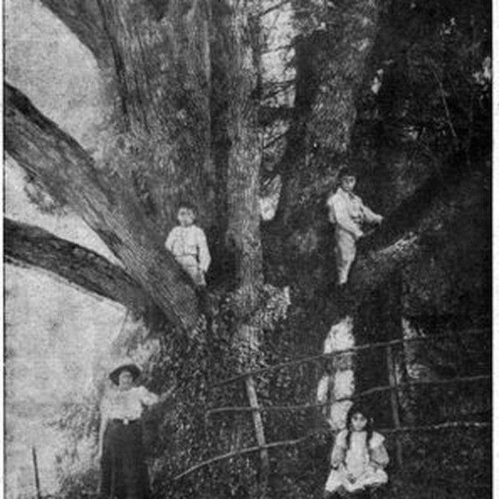 Photo de Château de Saint-Point