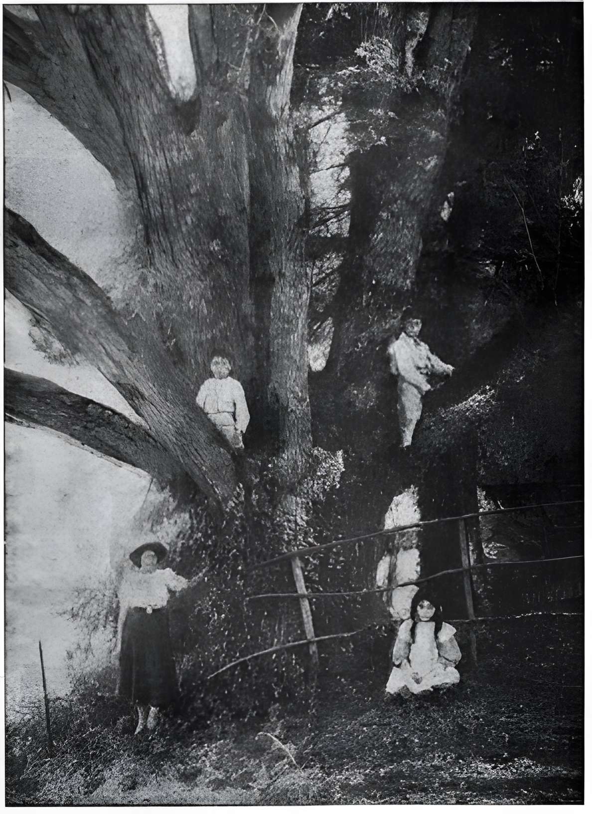 Château de Saint-Point