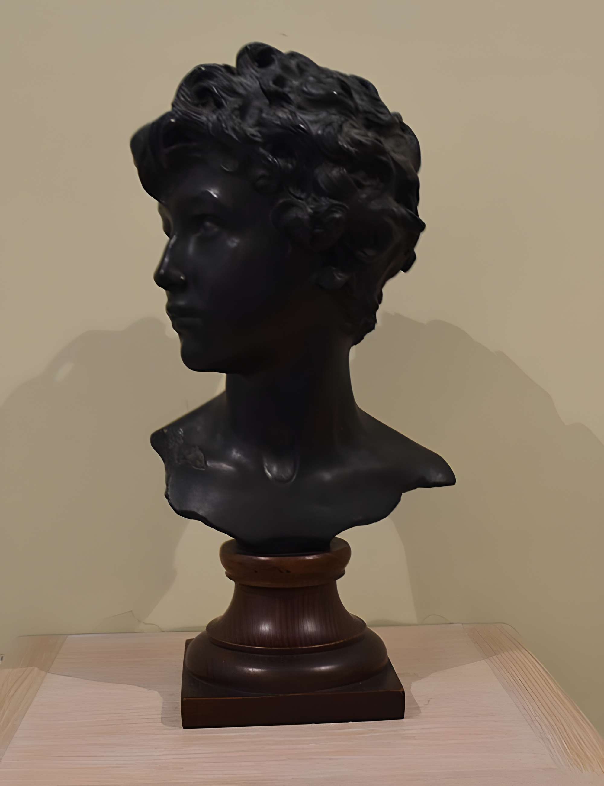 Musée des beaux-arts Denys-Puech à Rodez