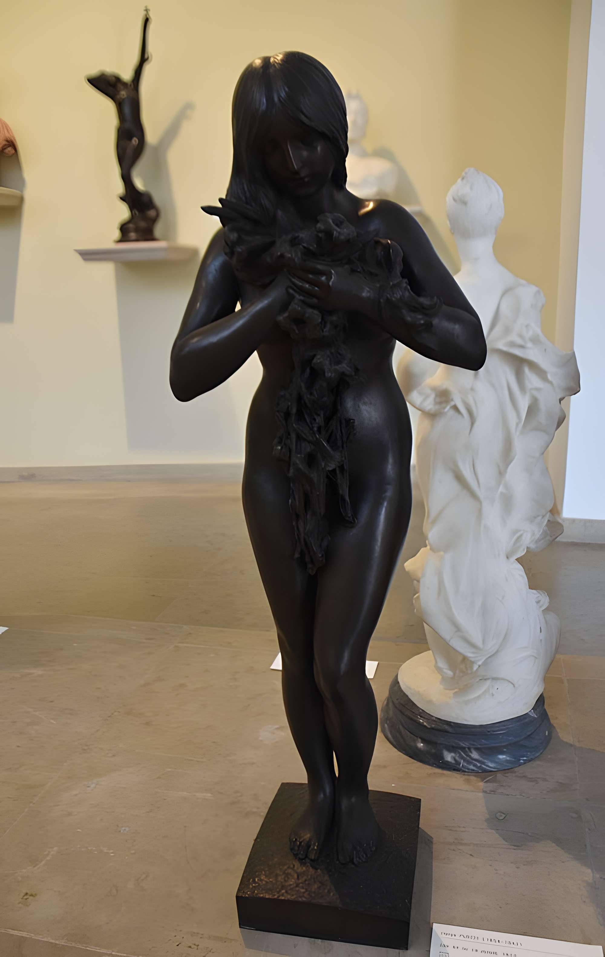 Musée des beaux-arts Denys-Puech à Rodez