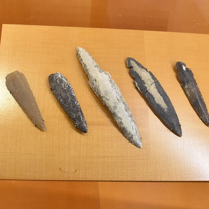 Photo de Musée Fenaille à Rodez