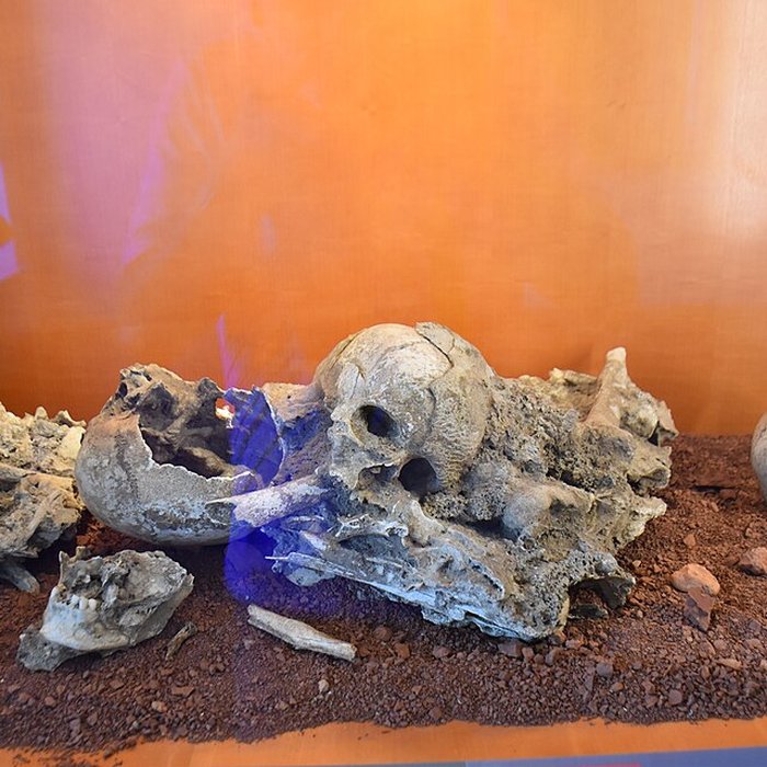 Photo de Musée Fenaille à Rodez