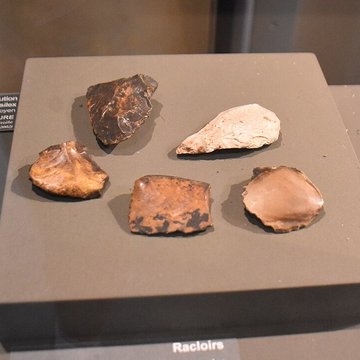 Musée Fenaille à Rodez