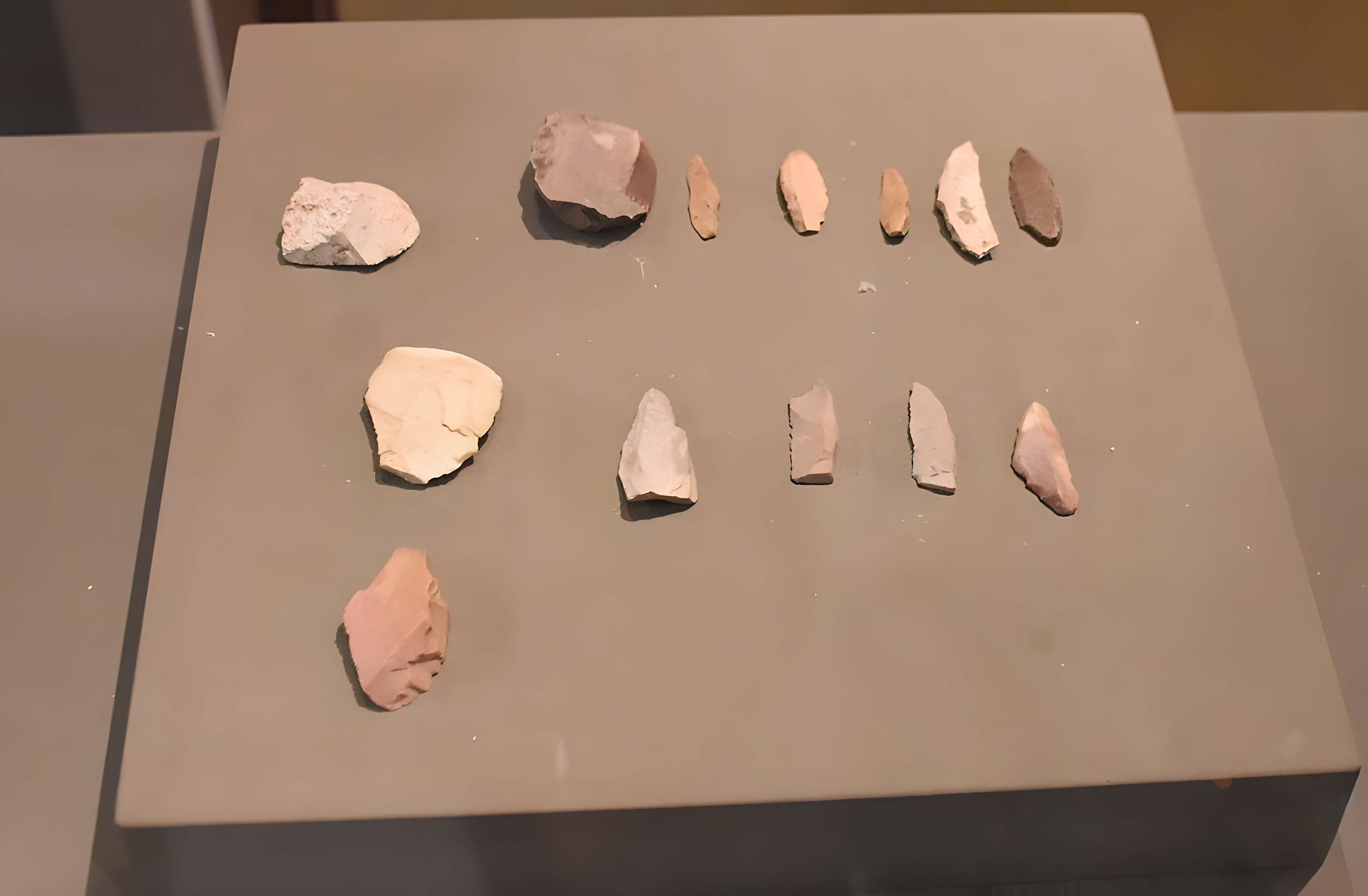 Musée Fenaille à Rodez