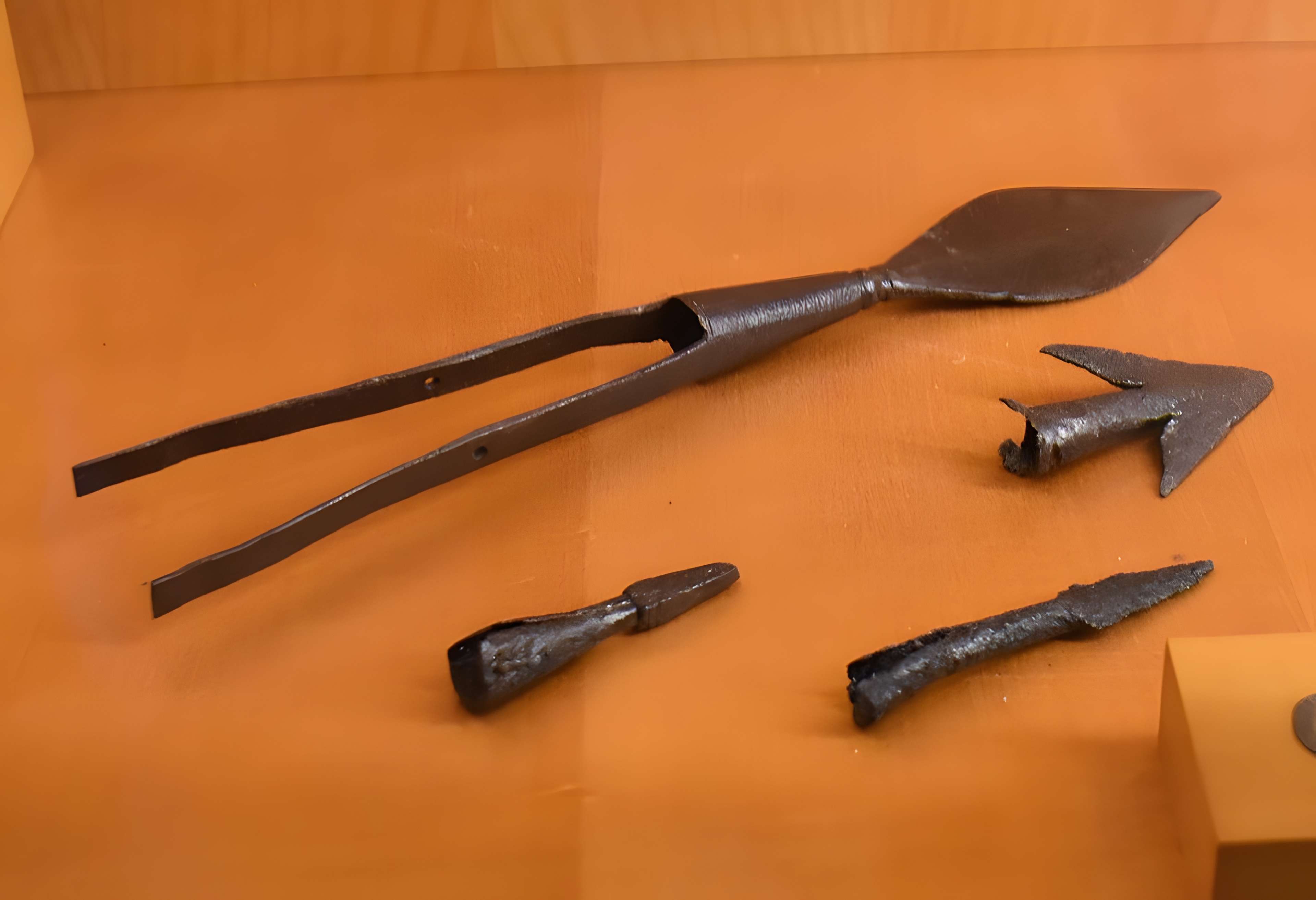 Musée Fenaille à Rodez