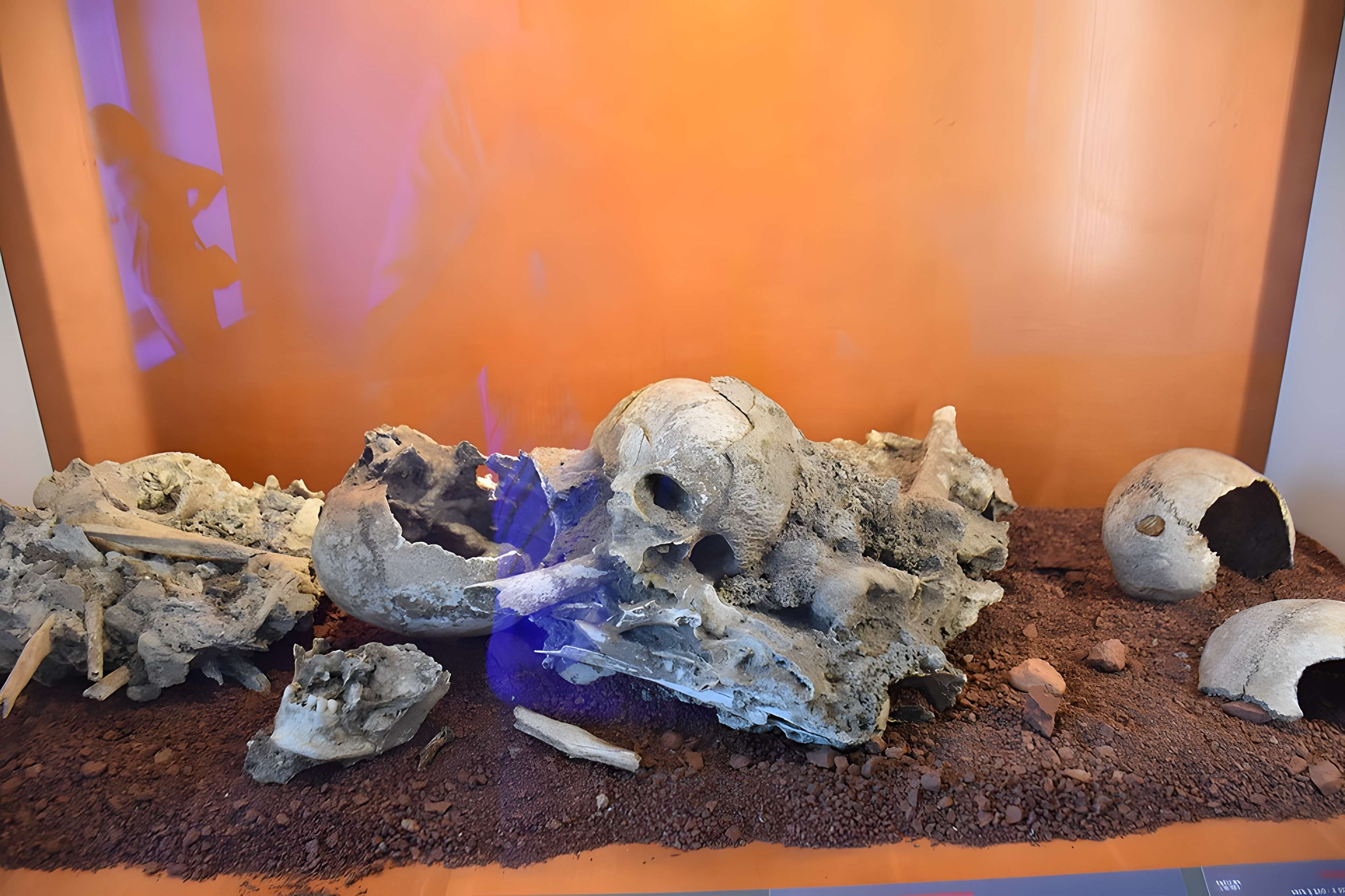 Musée Fenaille à Rodez