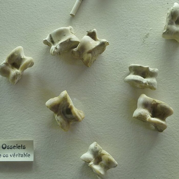 Photo de Musée des arts et traditions populaires Joseph Vaylet