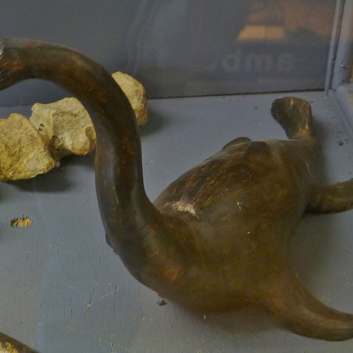 Photo de Musée des arts et traditions populaires Joseph Vaylet