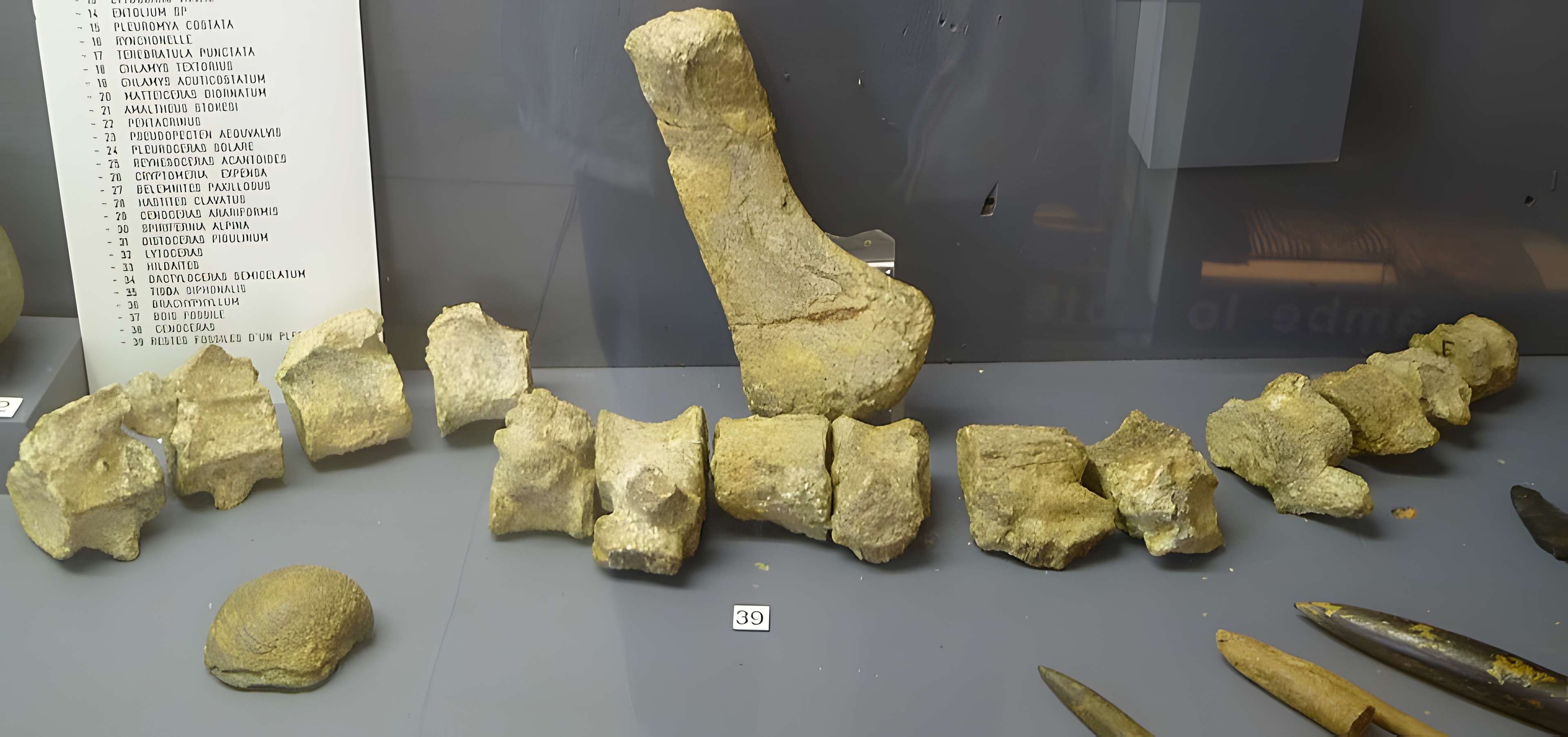 Musée des arts et traditions populaires Joseph Vaylet