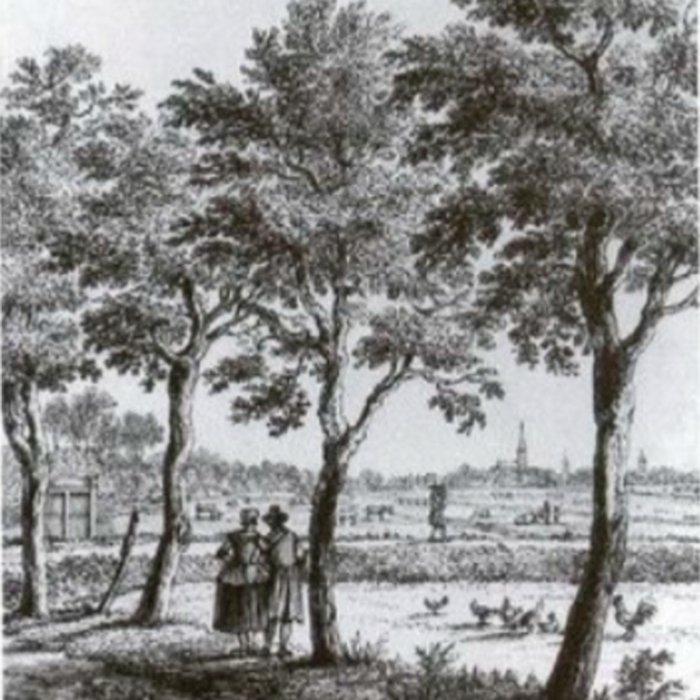 Photo de Musée des Augustins de Toulouse