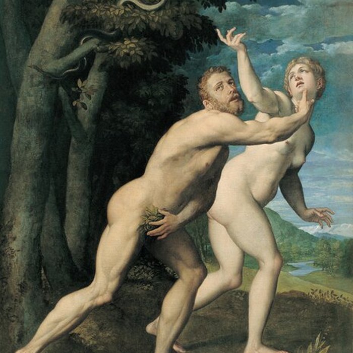 Photo de Musée des Augustins de Toulouse