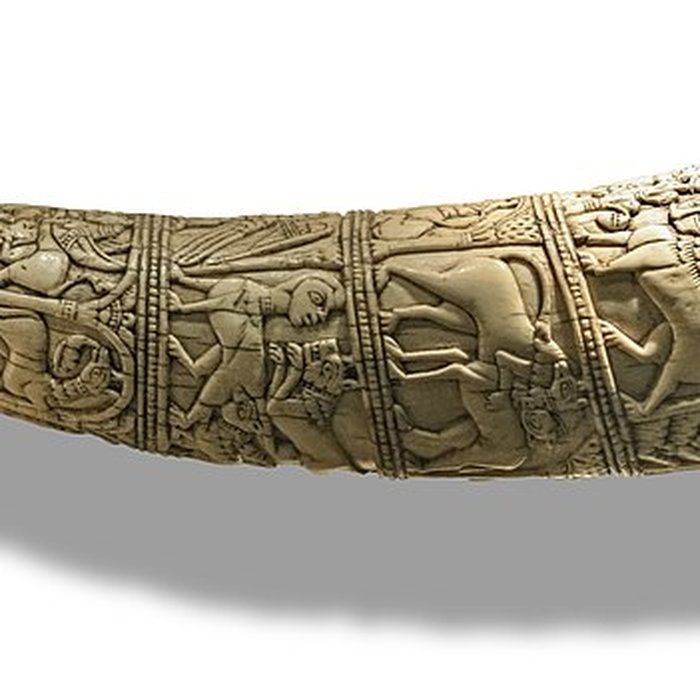 Photo de Musée Paul-Dupuy à Toulouse