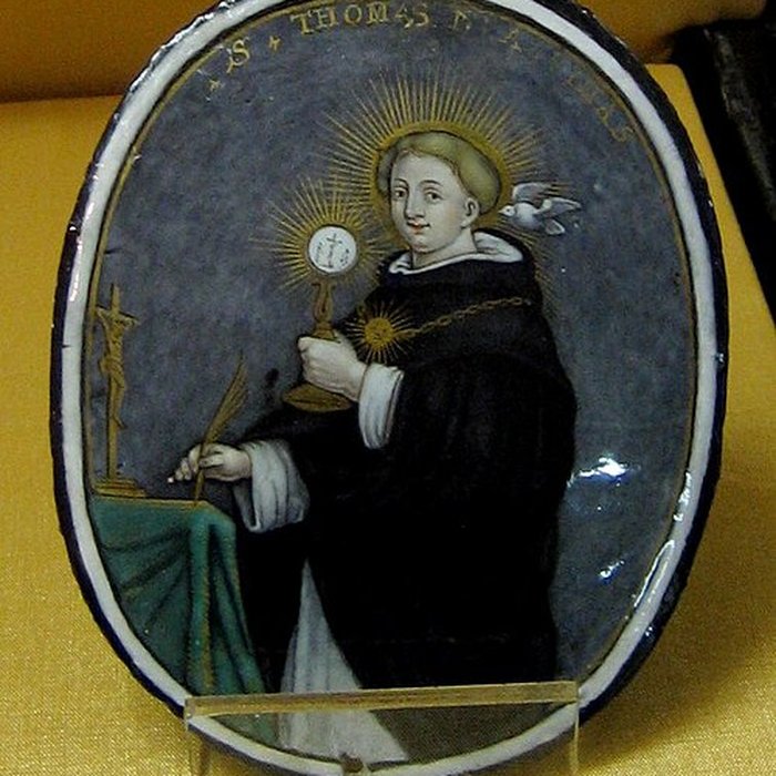 Photo de Musée Paul-Dupuy à Toulouse