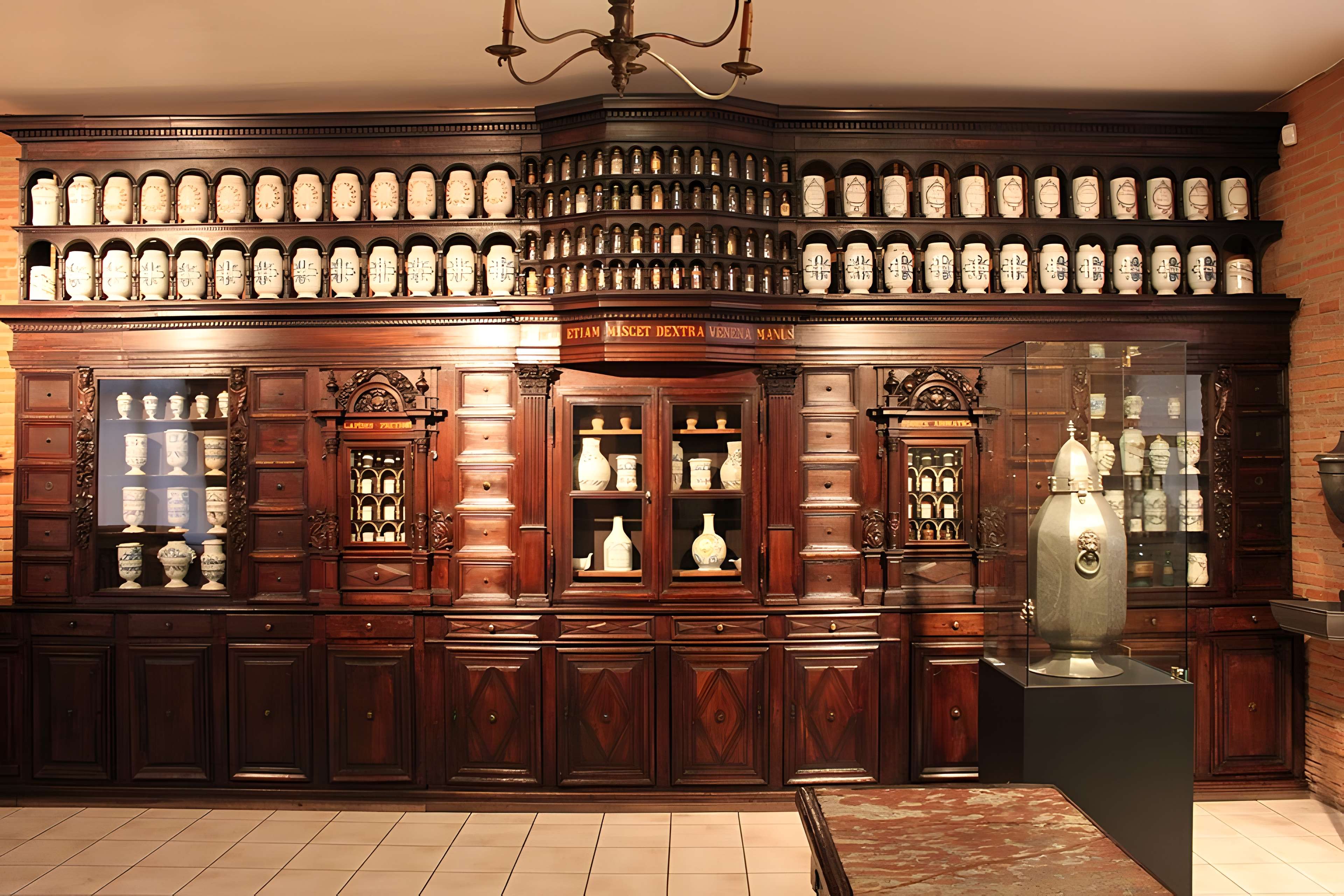 Musée Paul-Dupuy à Toulouse