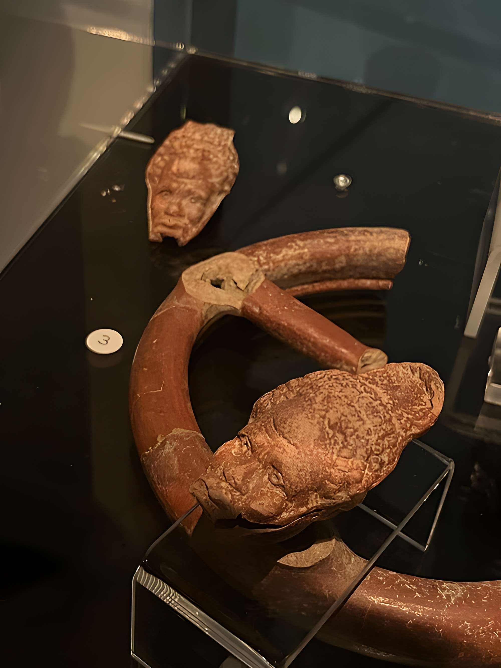 Musée Saint-Raymond à Toulouse