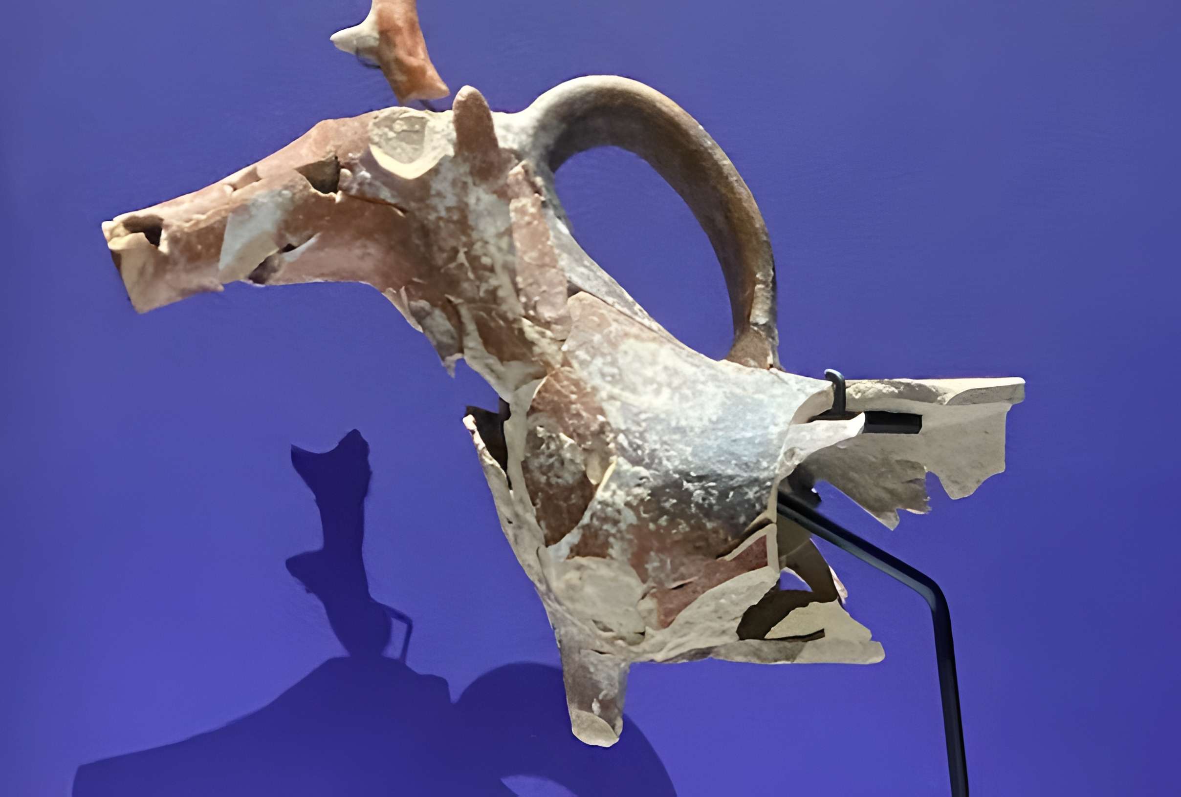 Musée Saint-Raymond à Toulouse