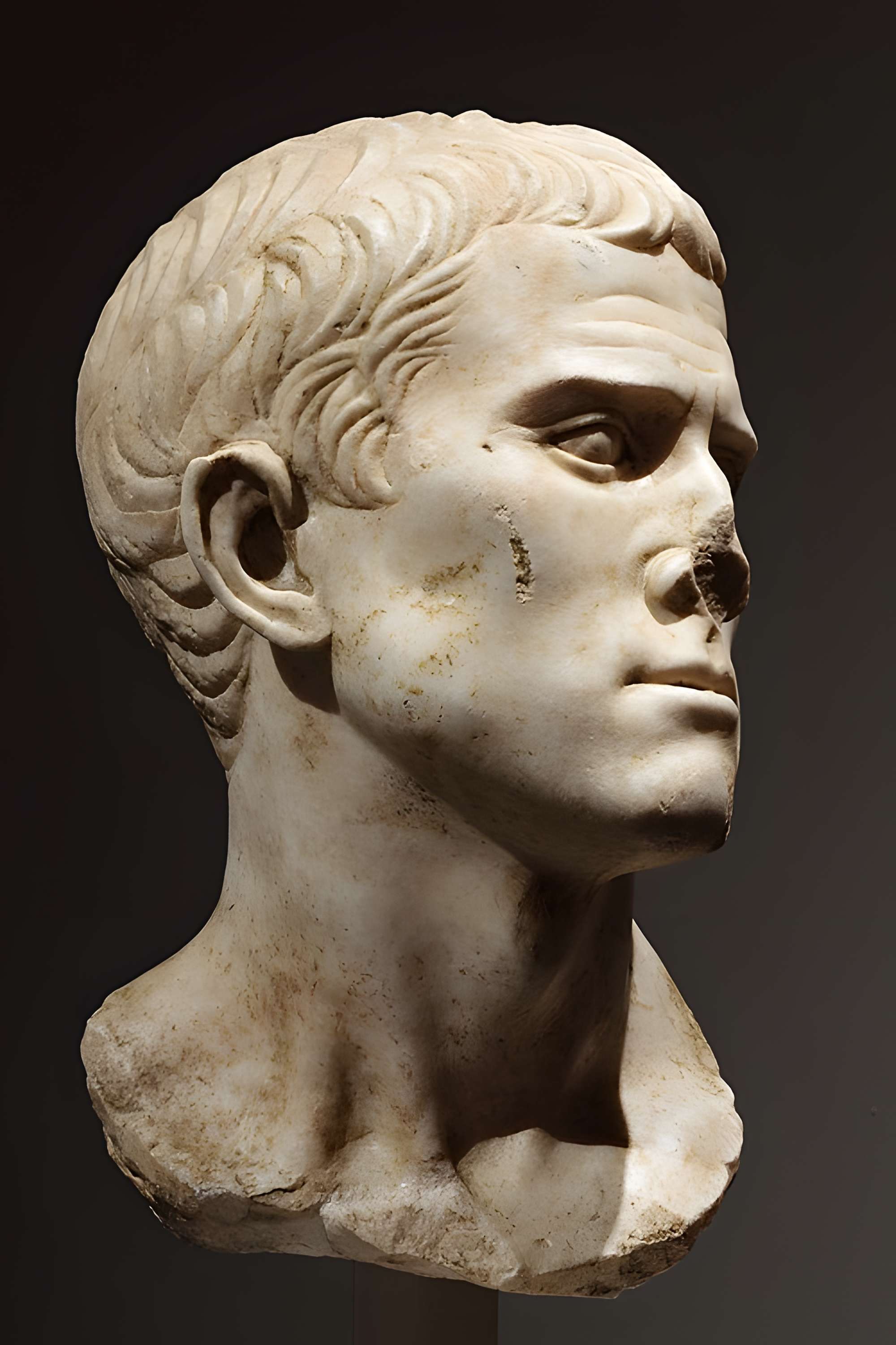 Musée Saint-Raymond à Toulouse