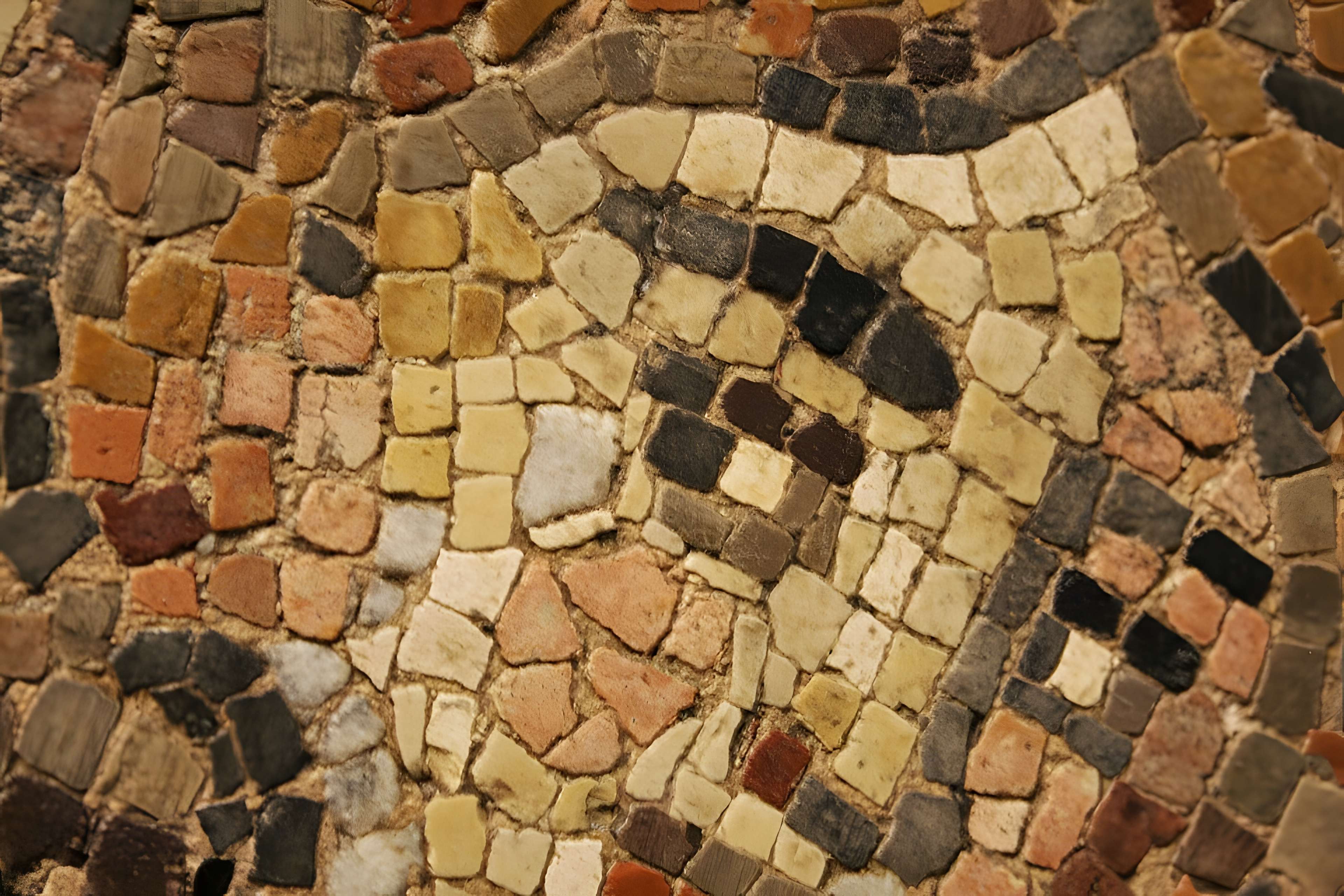 Musée Saint-Raymond à Toulouse