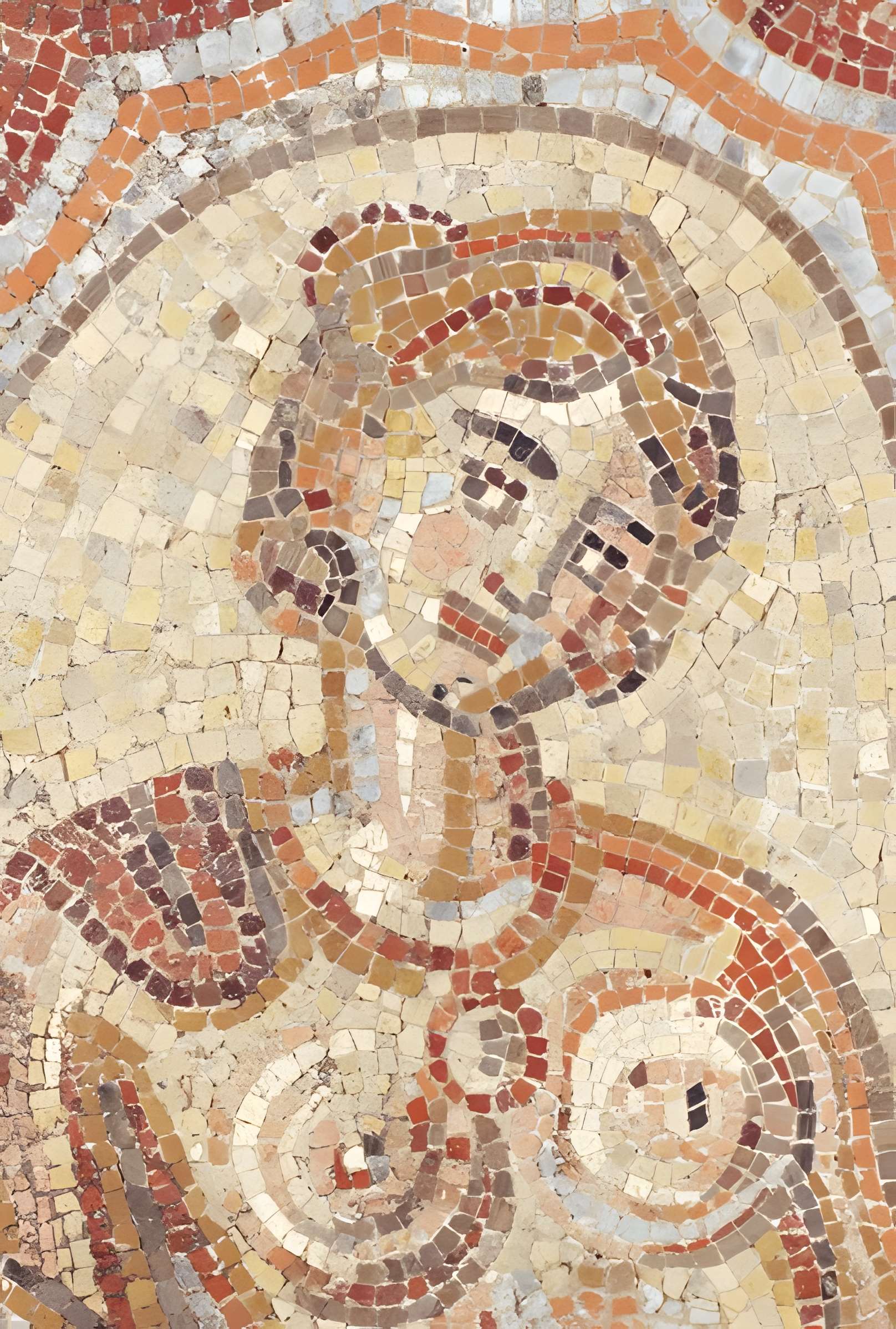 Musée Saint-Raymond à Toulouse