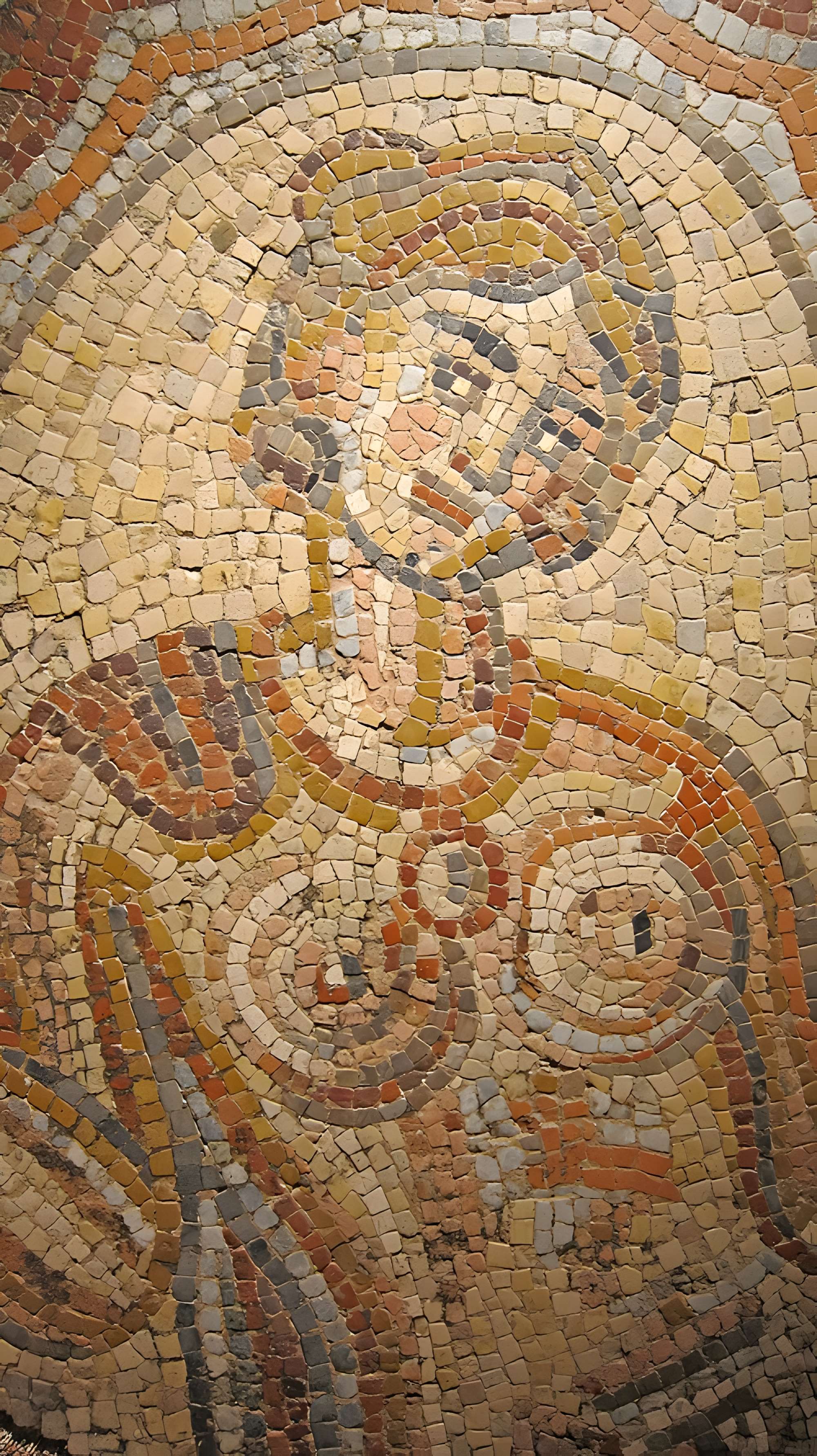 Musée Saint-Raymond à Toulouse