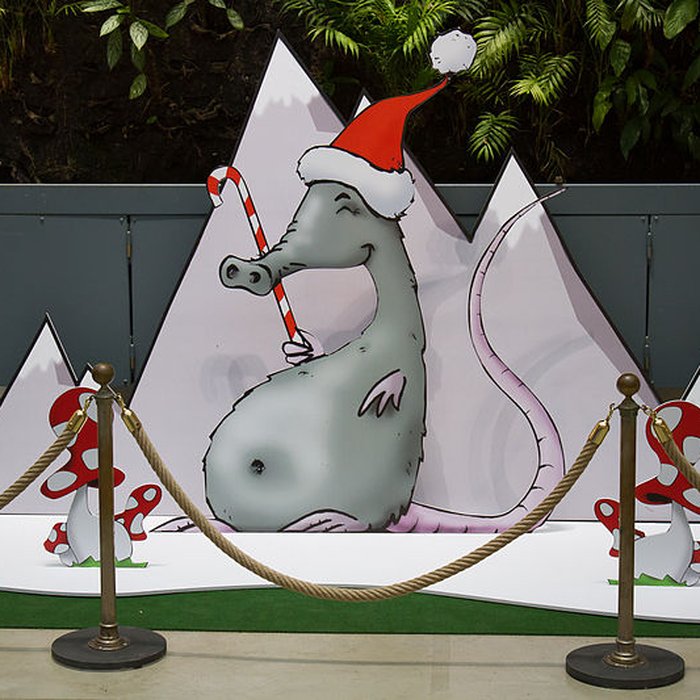 Photo de Muséum de Toulouse : Histoire naturelle et éthnologie