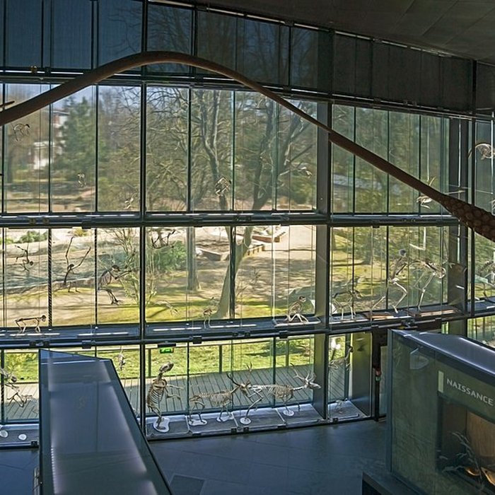 Photo de Muséum de Toulouse : Histoire naturelle et éthnologie