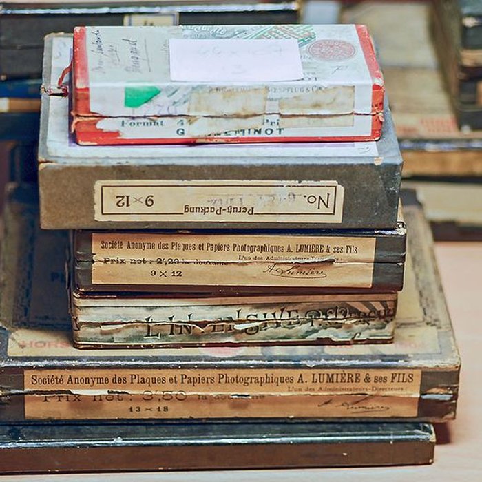 Photo de Muséum de Toulouse : Histoire naturelle et éthnologie