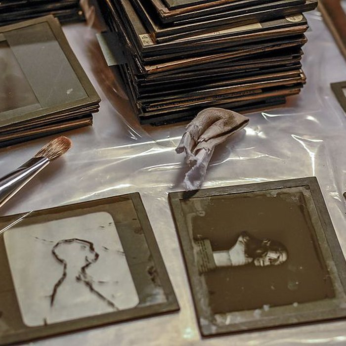 Photo de Muséum de Toulouse : Histoire naturelle et éthnologie