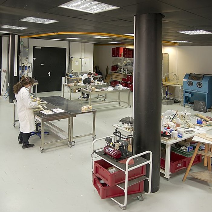 Photo de Muséum de Toulouse : Histoire naturelle et éthnologie