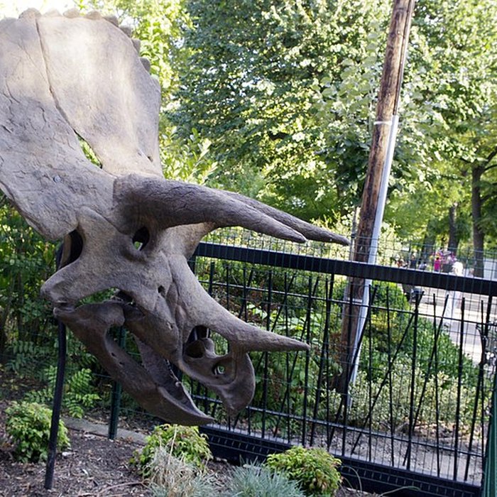 Photo de Muséum de Toulouse : Histoire naturelle et éthnologie
