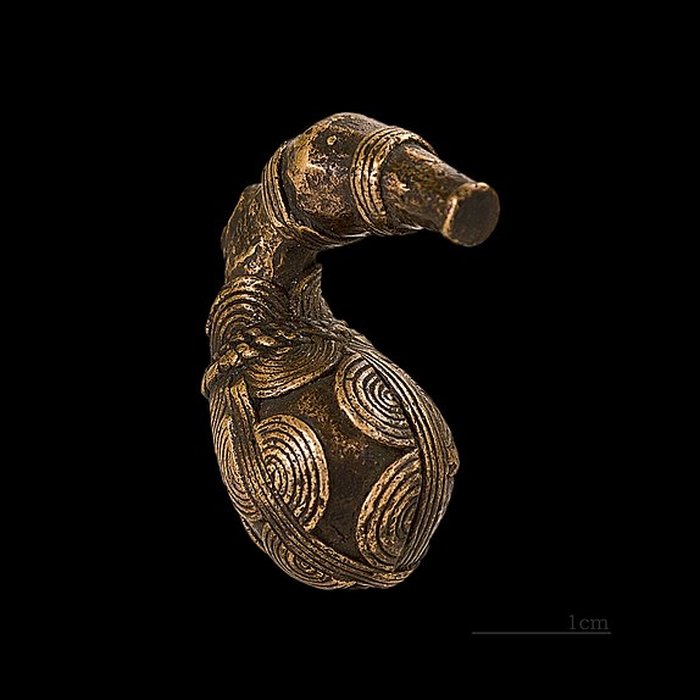 Photo de Muséum de Toulouse : Histoire naturelle et éthnologie