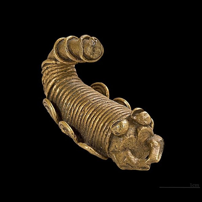 Photo de Muséum de Toulouse : Histoire naturelle et éthnologie