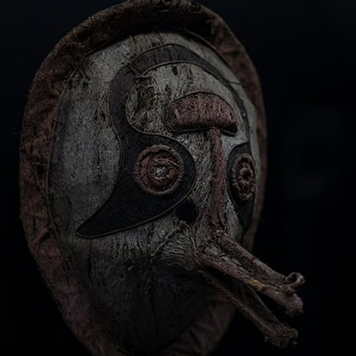 Photo de Muséum de Toulouse : Histoire naturelle et éthnologie