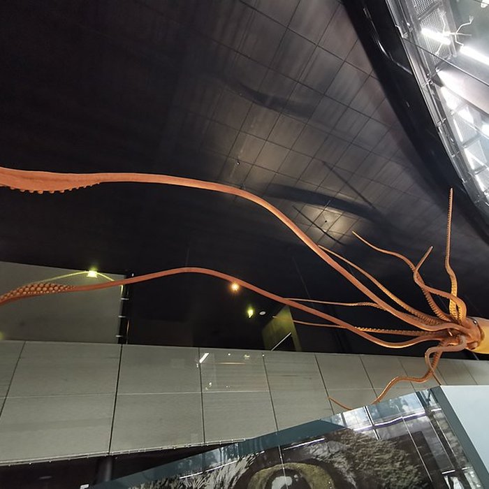 Photo de Muséum de Toulouse : Histoire naturelle et éthnologie