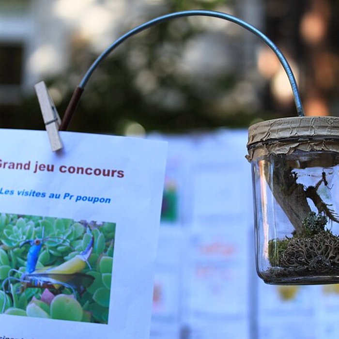 Photo de Muséum de Toulouse : Histoire naturelle et éthnologie