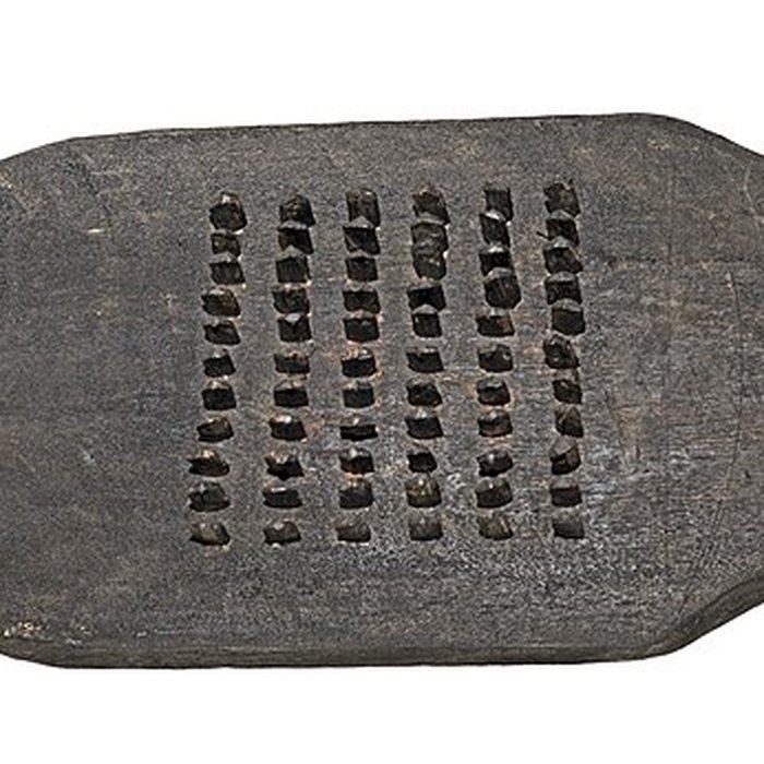 Photo de Muséum de Toulouse : Histoire naturelle et éthnologie