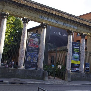 Muséum de Toulouse : Histoire naturelle et éthnologie