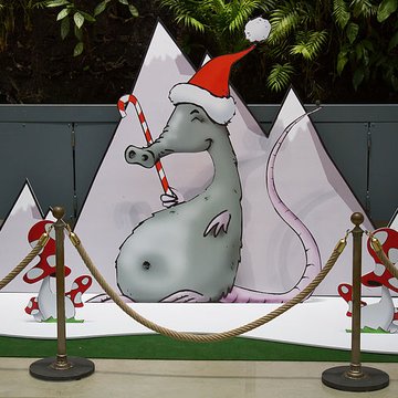 Muséum de Toulouse : Histoire naturelle et éthnologie