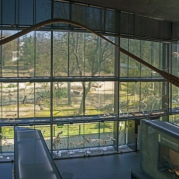Muséum de Toulouse : Histoire naturelle et éthnologie