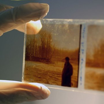 Muséum de Toulouse : Histoire naturelle et éthnologie