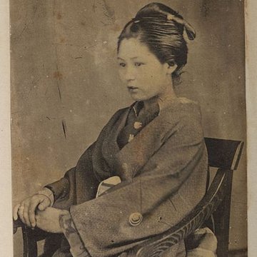 Muséum de Toulouse : Histoire naturelle et éthnologie